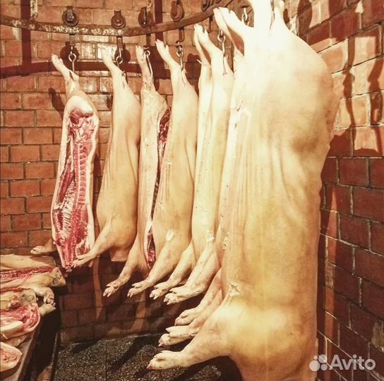 Свежее мясо