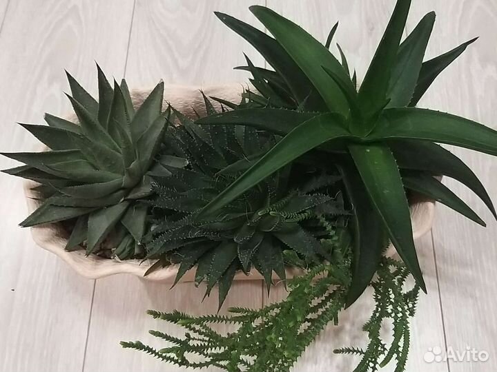 Готоввй набор для подарка, офиса