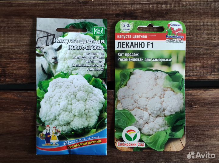 Семена цветной капусты