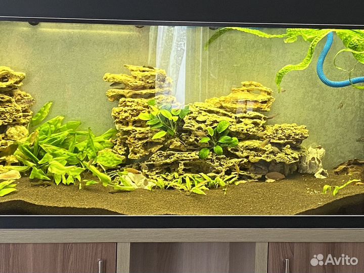 Аквариум