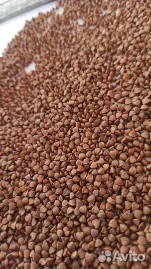 Гречка оптом