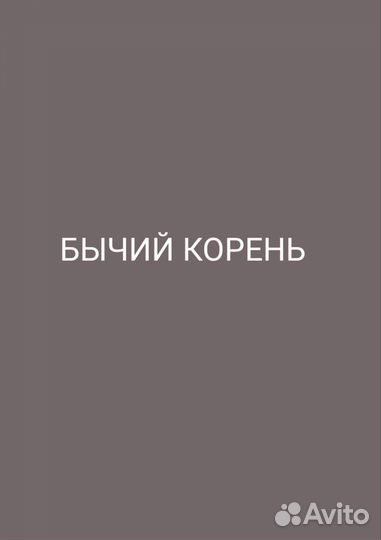 Бычий корень