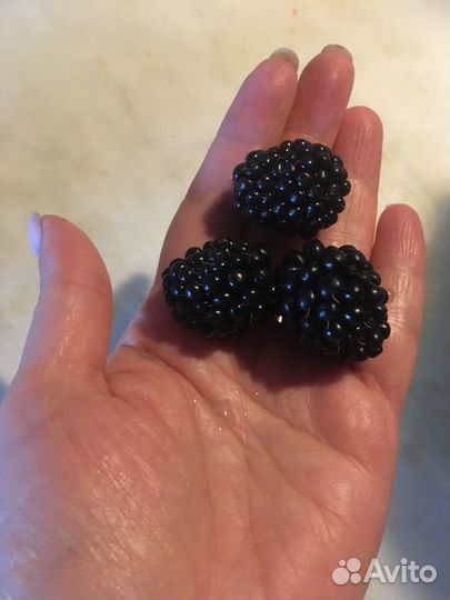 Саженцы ежевики