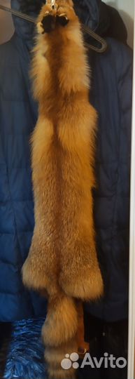 Шкурка лисы (чулок)