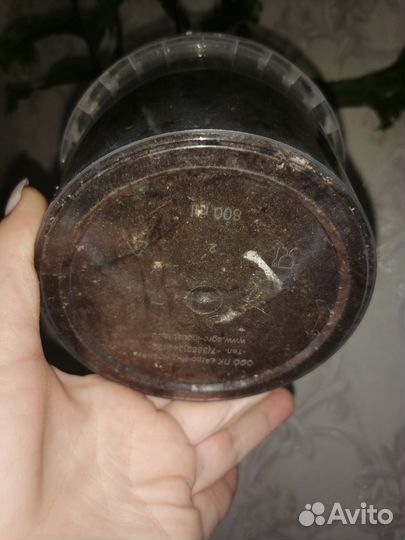 Drynaria sp, Микросорум, даваллия Fejeensis