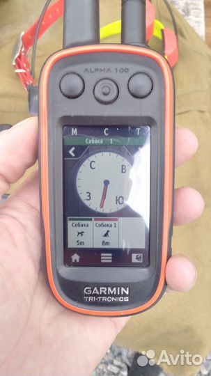 Навигатор Garmin Alpha 100 Америка с ошейником