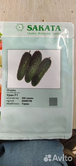 Семена огурцов профессиональные