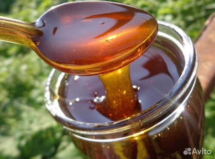 Мед Башкирский