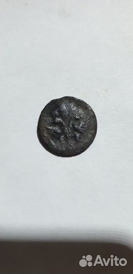 Полушка Петр1