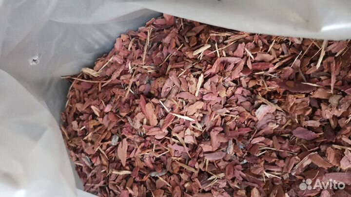 Кора лиственницы