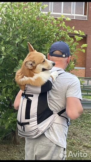 Рюкзак - переноска для собак
