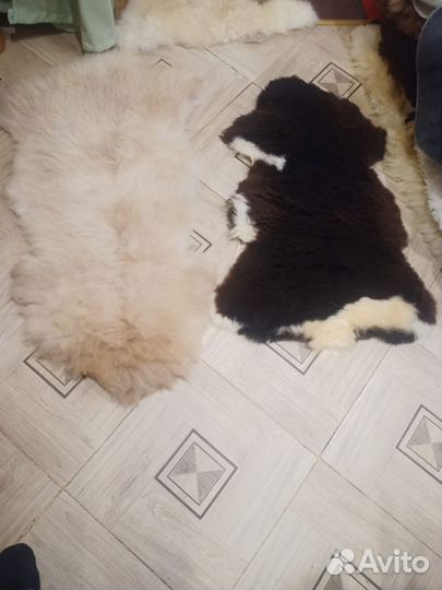 Шкура из овчины