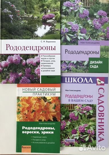 Рододендроны и вересковые (обновлено)