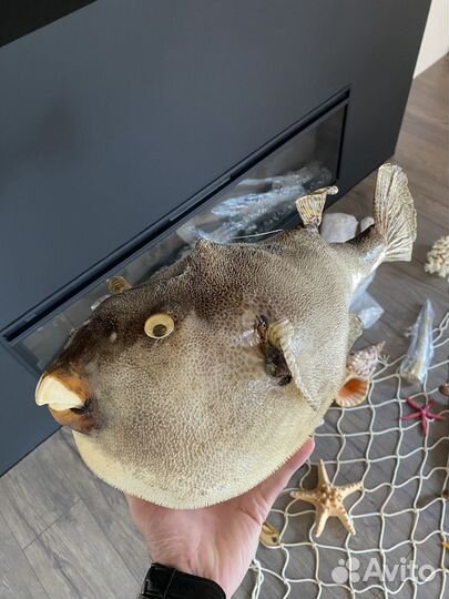 Судовые Рынды Штурвалы Колокольчики и др