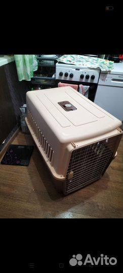 Бокс для перевозки собак