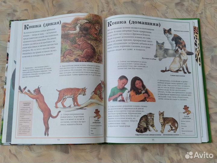 Всё о животных