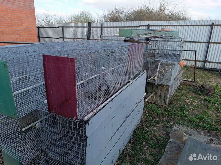 Клетки для бройлеров, несушек