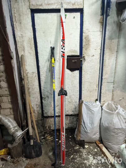 Беговые лыжи