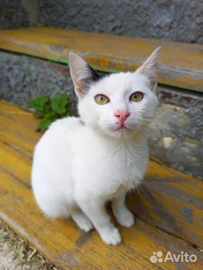 Ты мне нужен,человек