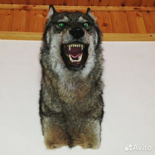 Таксидермия (чучело)