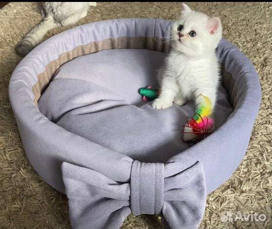 Лежанка для животных/для кошек/для собак