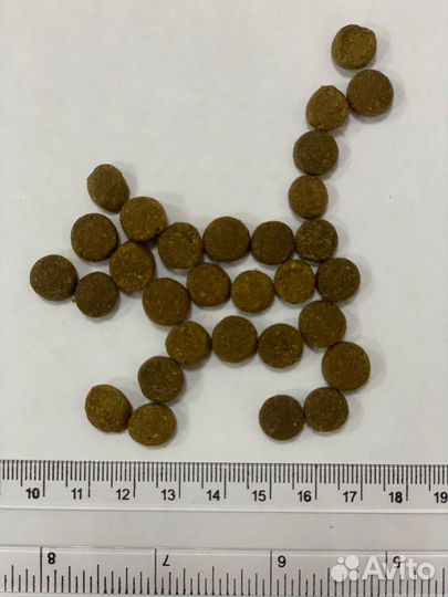 Сухой корм для кошек премиум с доставкой на дом