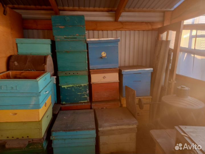 Ульи для пчел
