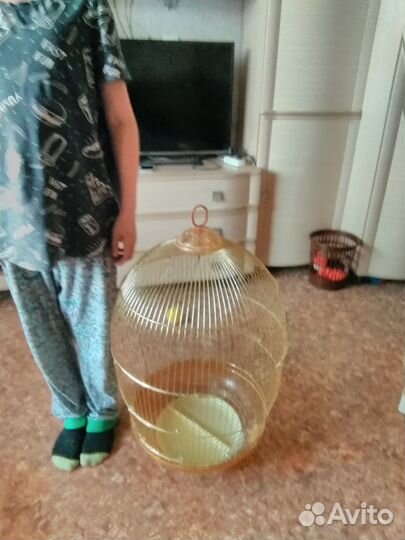 Клетка для попугая