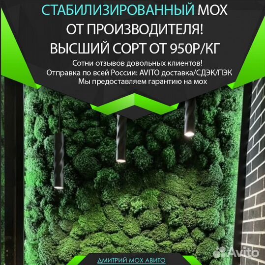 Стабилизированный ягель для стен и кашпо