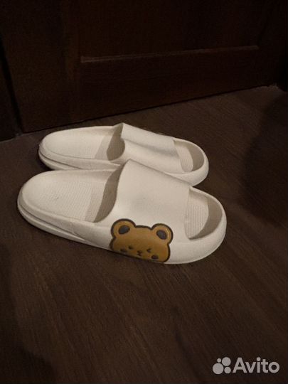 Сланцы десткие