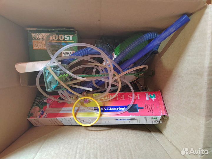 Аквариумные рыбки