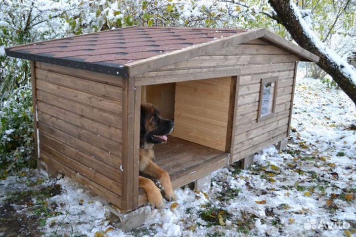 Будка, конура для собаки