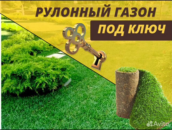 Элитный рулонный газон от производителя