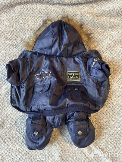 Одежда для собак мелких пород