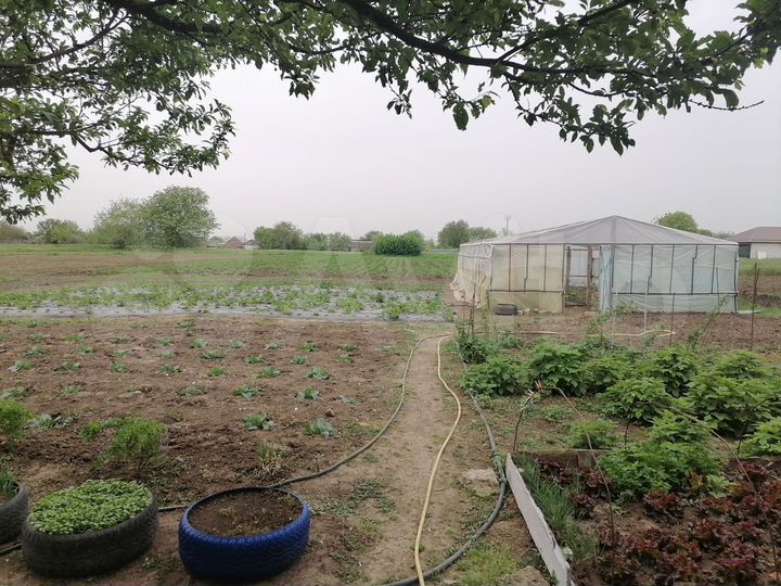 Дом 47,5 м² на участке 31,8 сот.