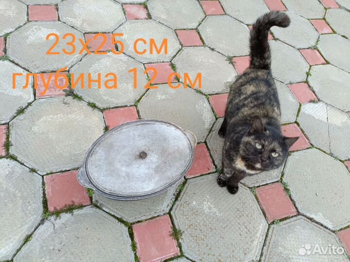 Утятница, сковорода, задвиж для печи, колун, лампа