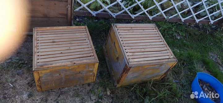 Ульи для пчел