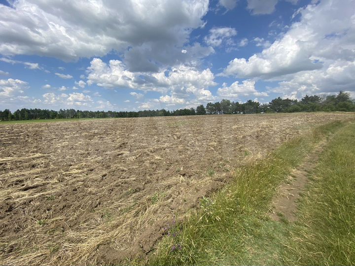 Участок 3,96 га (СНТ, ДНП)