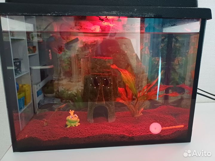 Аквариум 25 литров