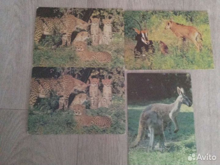 Открытки советские СССР