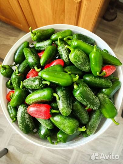 Семена острых и сверхострых перцев