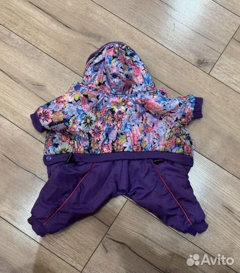 Одежда для собак