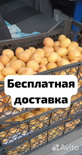 Вкусные абрикосы