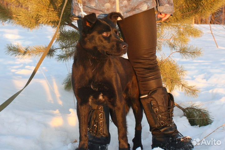 Мега классная Ксива