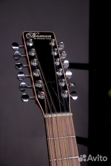 12 струнная гитара Norman