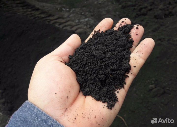 Чернозем перегной