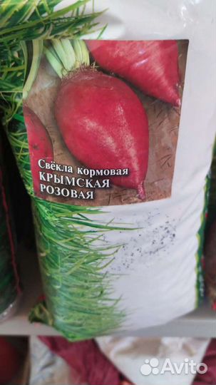 Семена Свекла кормовая