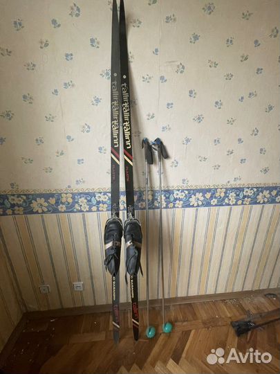 Беговые лыжи