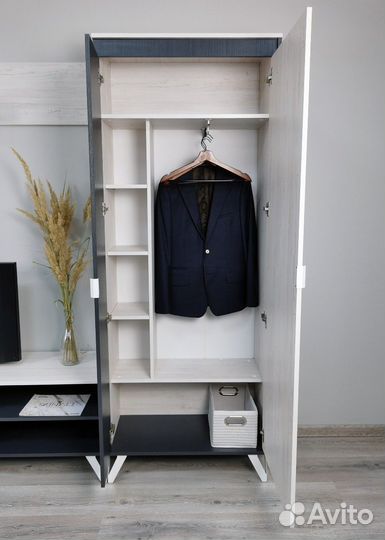 Шкаф для одежды Винтер 4