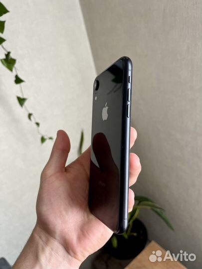 iPhone Xr, 128 ГБ